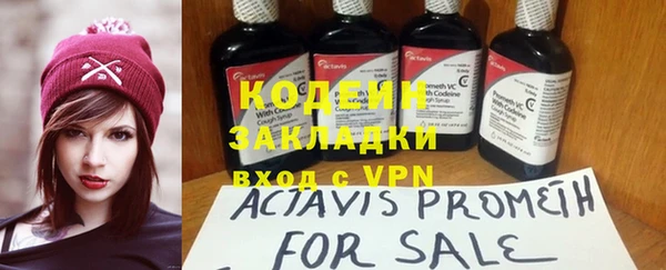 ГАЛЛЮЦИНОГЕННЫЕ ГРИБЫ Иннополис