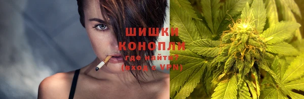 ГАЛЛЮЦИНОГЕННЫЕ ГРИБЫ Иннополис
