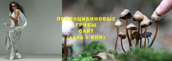 трава Инсар
