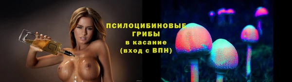 прущая мука Инта