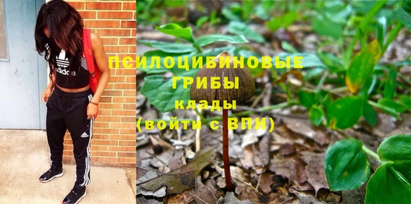 прущая мука Инта