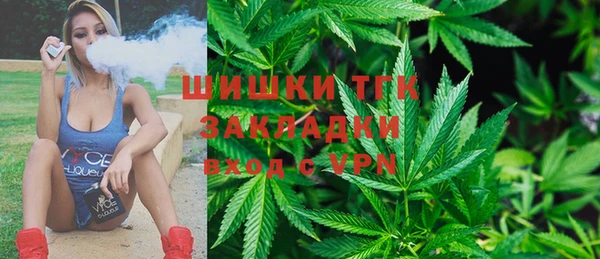 прущая мука Инта