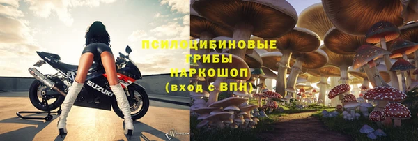прущая мука Инта