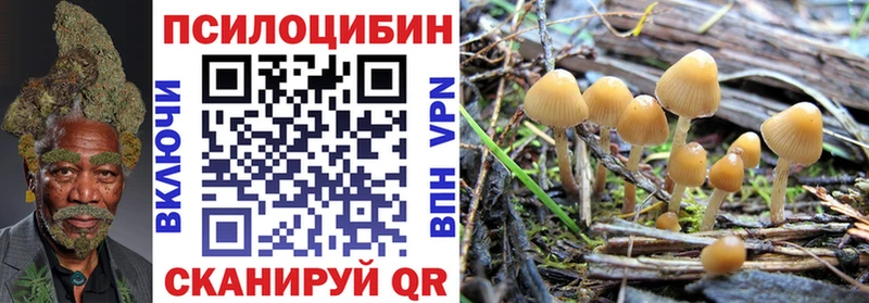 Галлюциногенные грибы мухоморы  Купить где  Миньяр 